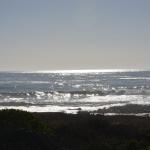 CambriaCN_118 (October 25, 2014)